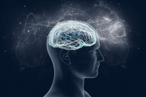 A Randomized Double-Blind Prospective Evaluation of the Cognitive Impacts of a Dietary Supplement in Healthy Adults