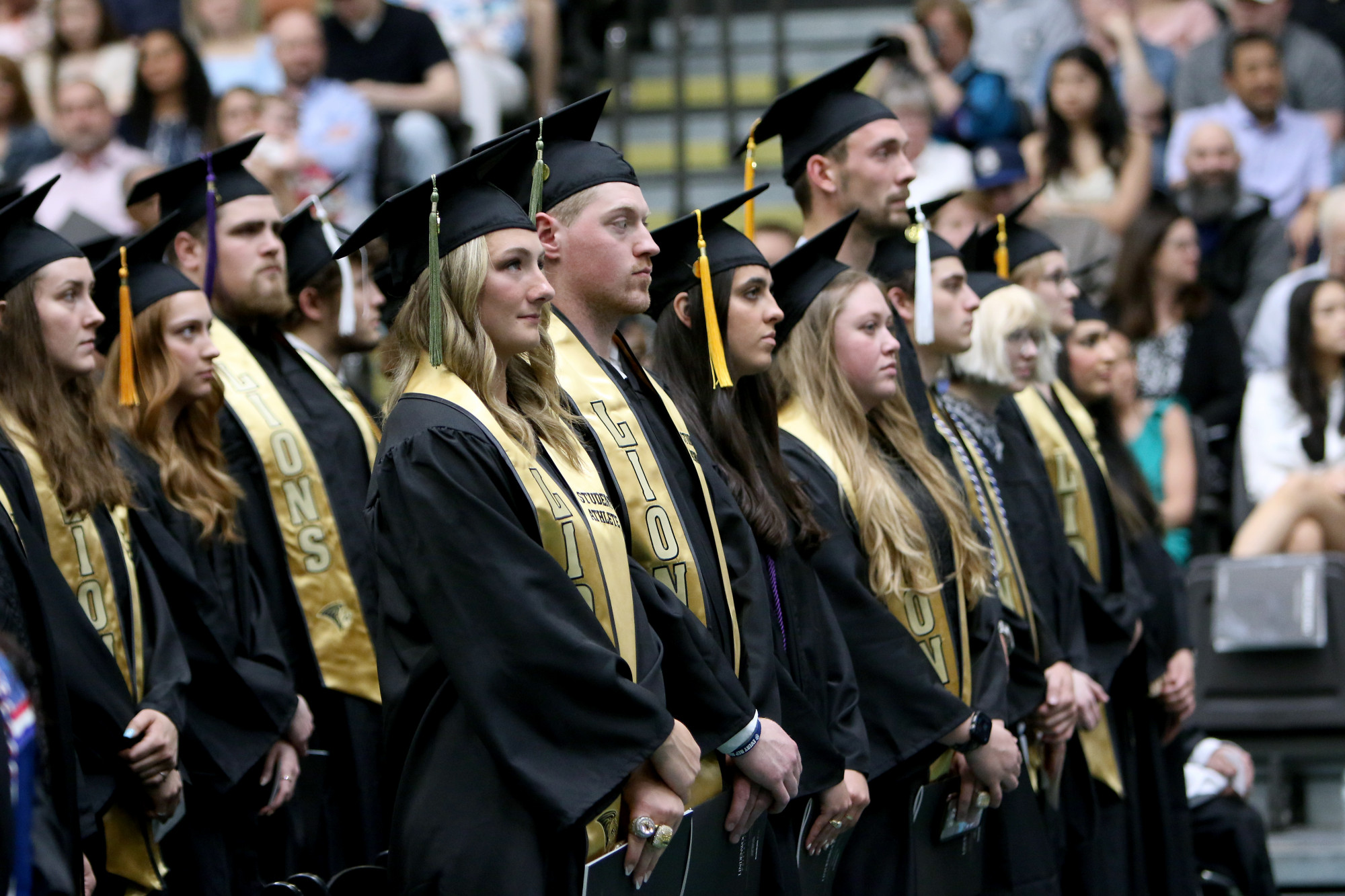 Undergraduate Degrees Lindenwood University