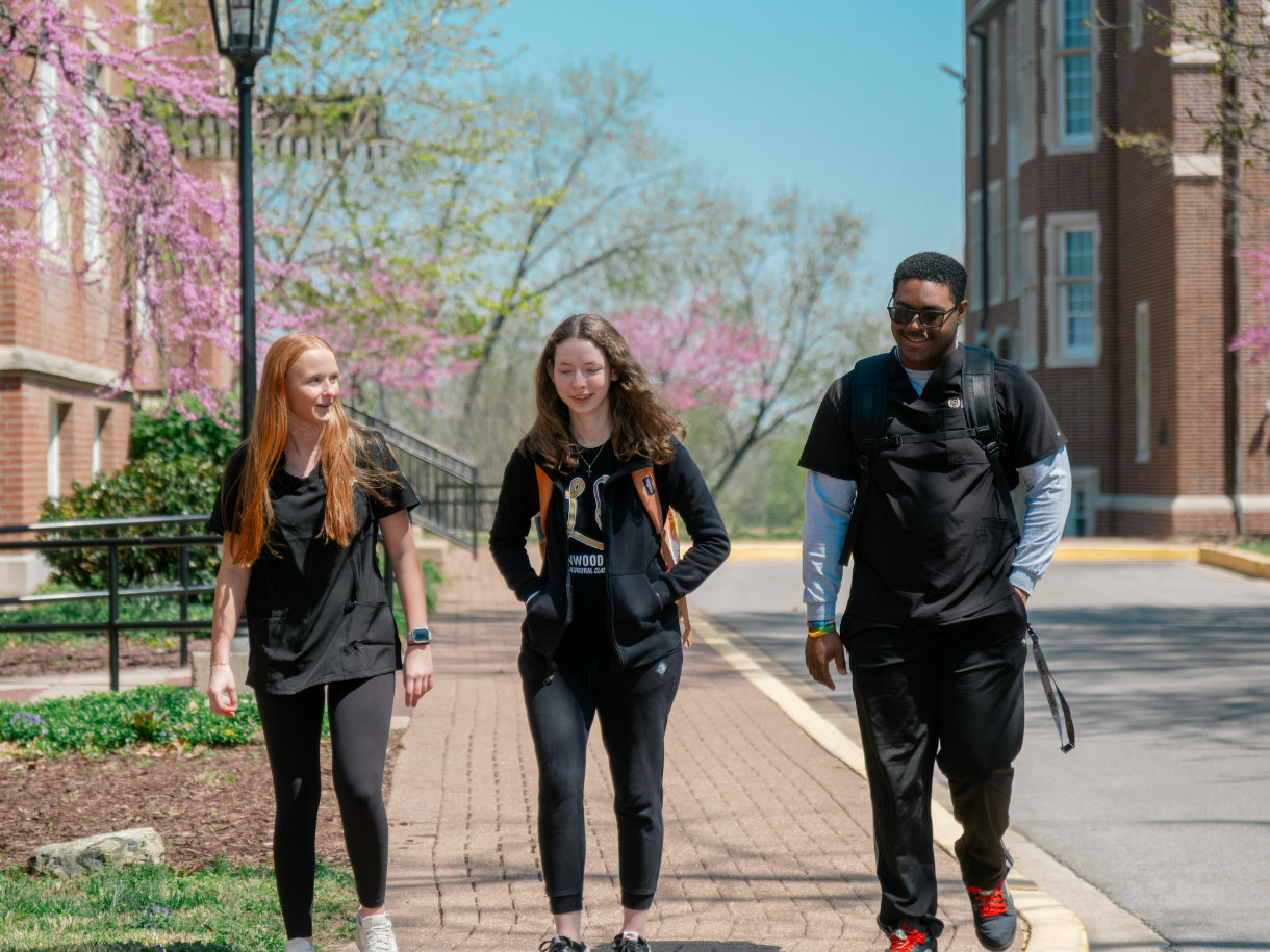 Nursing (BSN) Traditional Track Lindenwood University