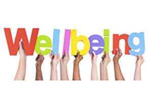 Is a Good Student Also a Happier one? Traditional Measures of School Functioning as Predictors of Students’ Well-Being