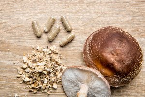 Effect of Cordyceps Supplementation on Exercise Performance and Recovery