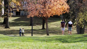 In 2016 the Hammond Institute formalized its Criminal Justice Reform Initiative, which gathers together a variety of activities it has pursued regarding criminal justice in Missouri and the United States.