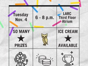 Bingo Night