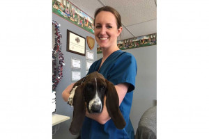 Biology Alumna Bound for U of I Vet School