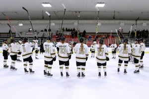 Lindenwood Ice Arena Sold to City of Wentzville