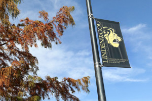 Lindenwood Sets New High For Freshman Enrollment