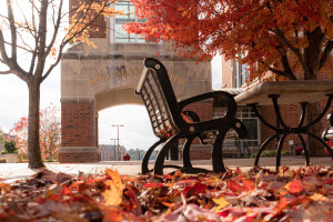 Lindenwood Offices Closed for Thanksgiving