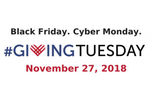 Giving Tuesday Will Support Lions’ Reserve Fund
