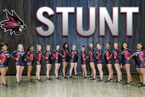 STUNT Program Announced for 2019-2020 Academic Year