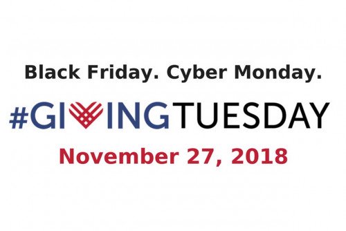 Giving Tuesday Will Support Lions’ Reserve Fund