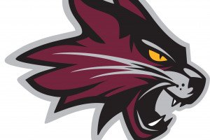 Lynx Basketball teams host Halloween Hoops