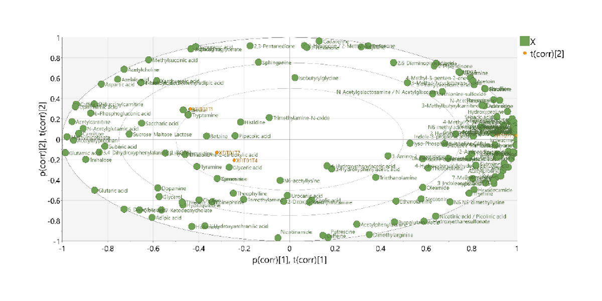 Fecal Metabolomics (example chart)