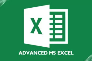 Advanced Excel