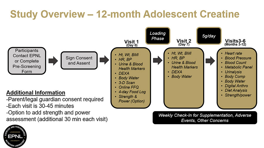 Flowchart Image