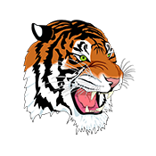 Carthage R-9 School District