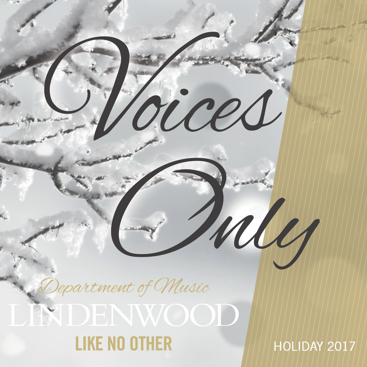 Voices Only Holiday Album
