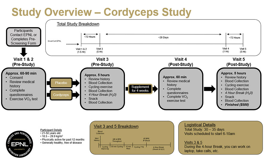Flowchart Image