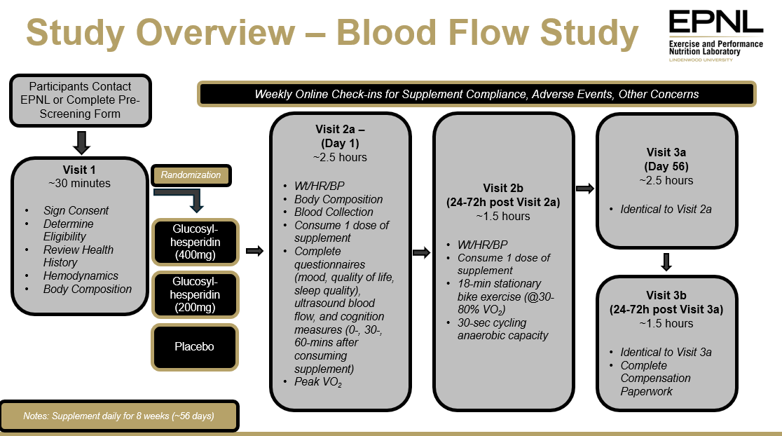 Flowchart Image