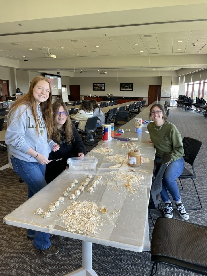 Image of students making pet toys for Five Acres Animal Shelter