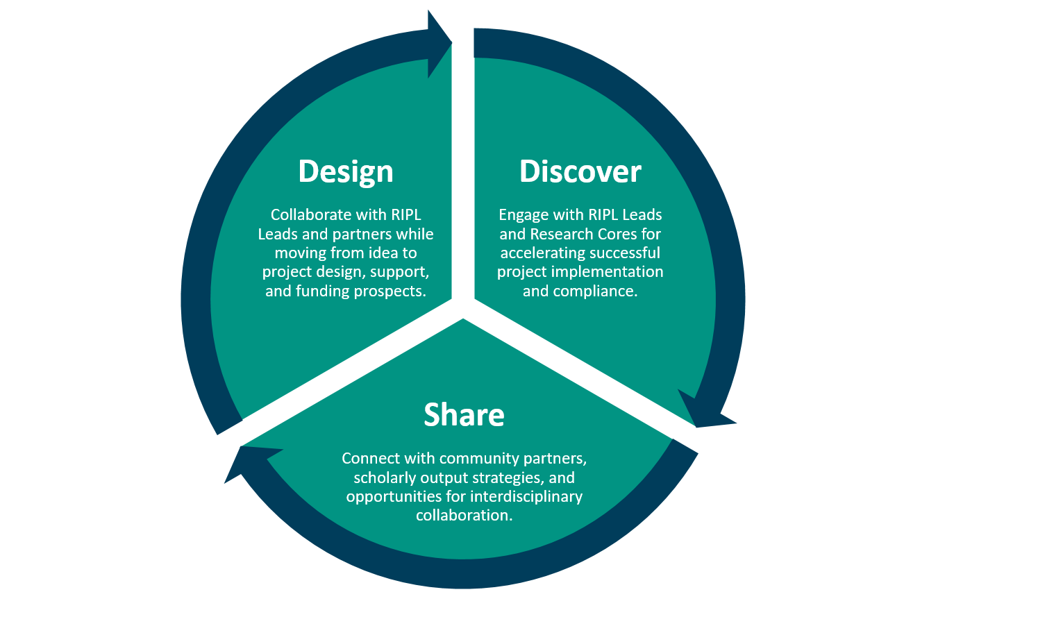 Project Life Cycle