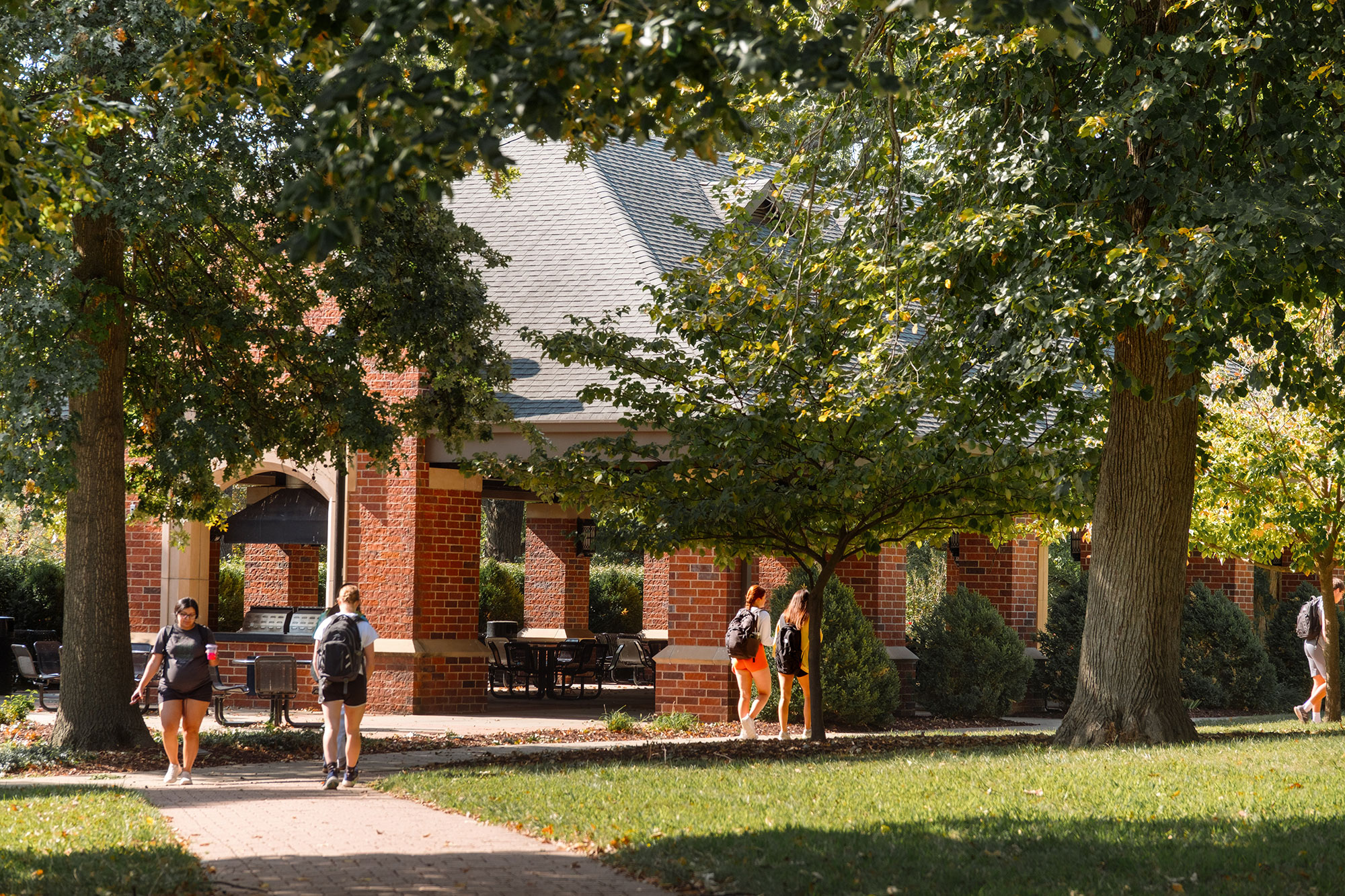 Campus in the fall