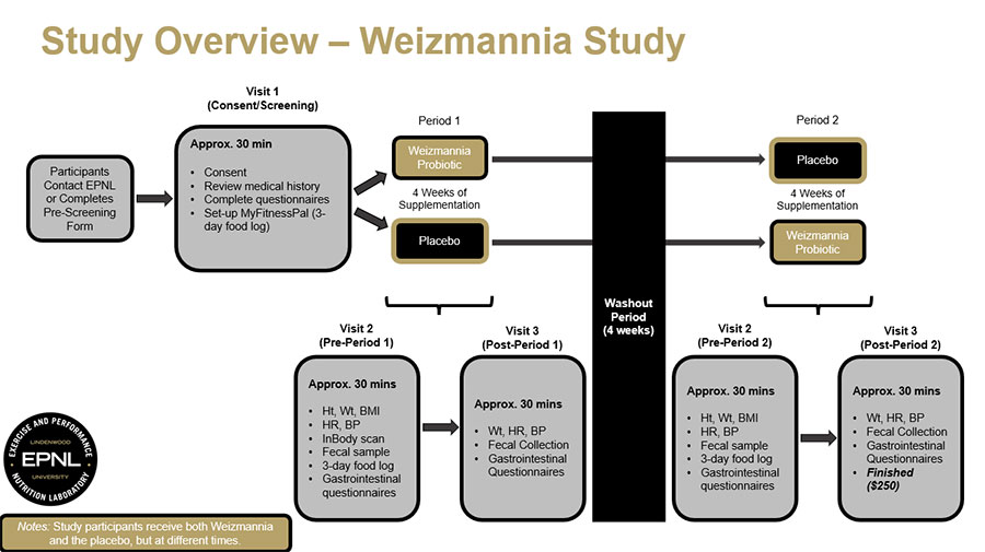 Flowchart Image