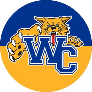Wright City R-II Schools featuring their mascot and school colors