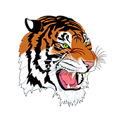 Carthage R-9 School District