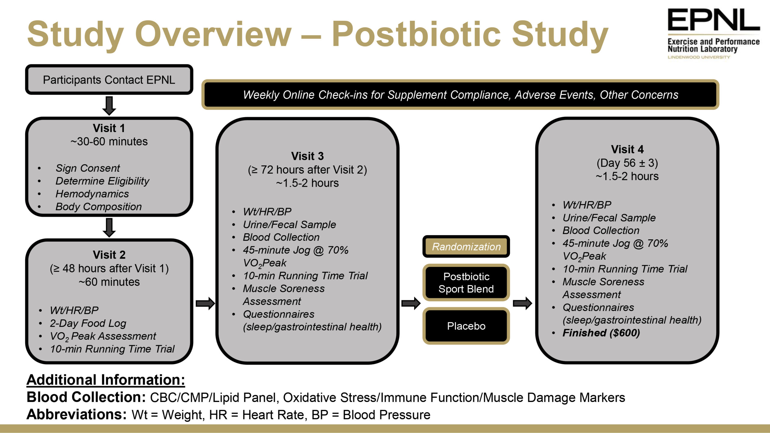 Study Overview Flowchart