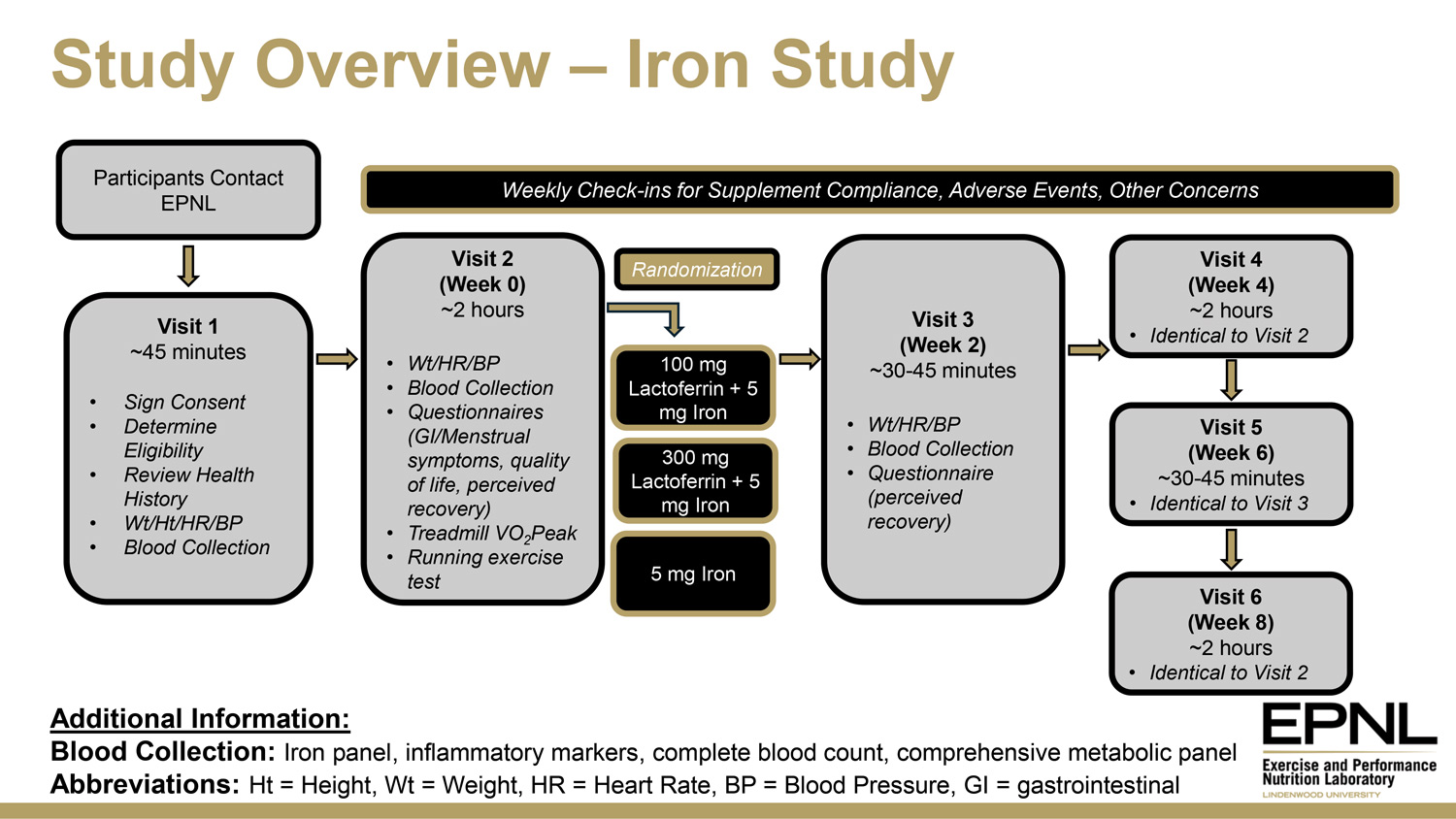 Study Overview Flowchart
